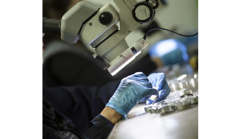 Denetim ve Kalite Kontrol